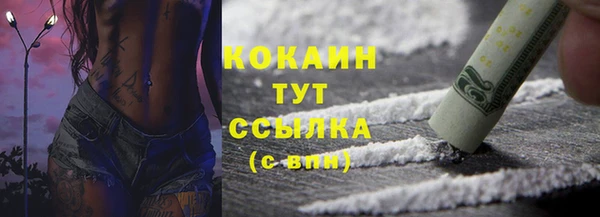 СК Бронницы