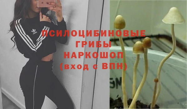 PSILOCYBIN Бугульма
