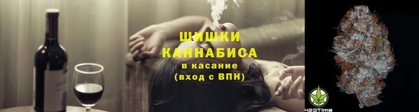 СК Бронницы