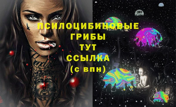 скорость Богородицк