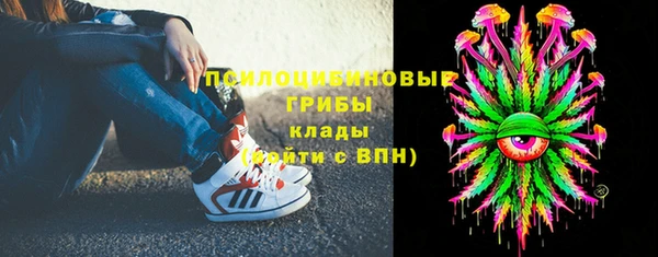 СК Бронницы